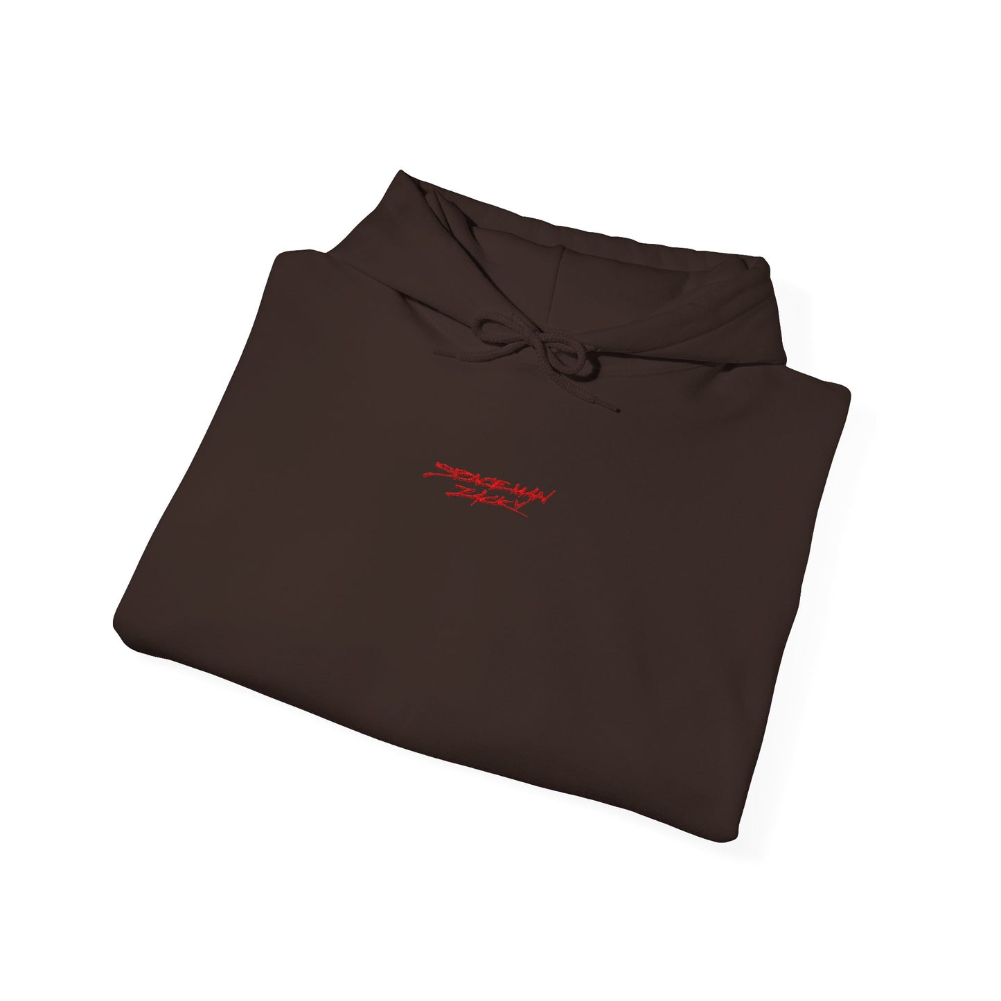 SpaceMan Zack Embroidered Hoodie