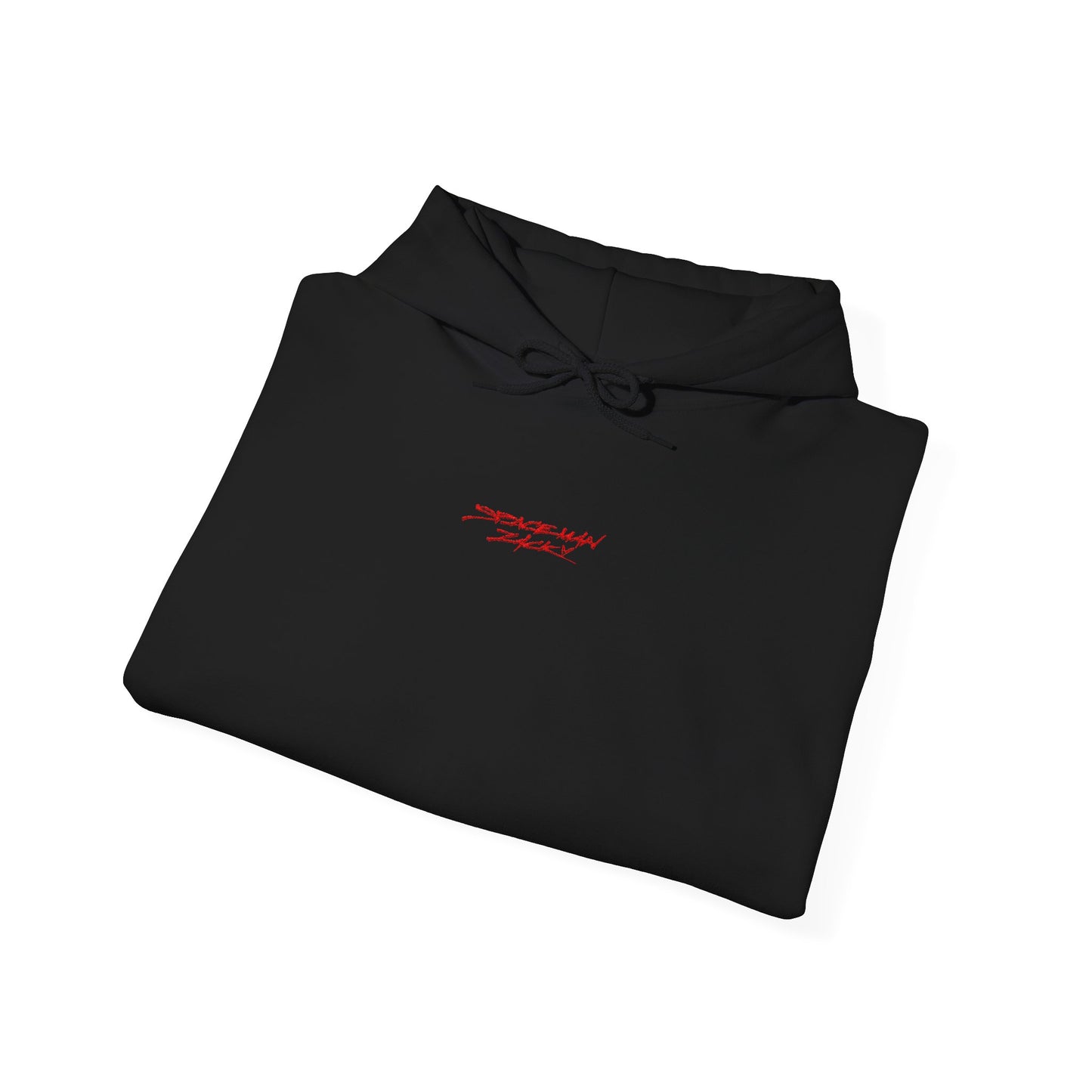 SpaceMan Zack Embroidered Hoodie
