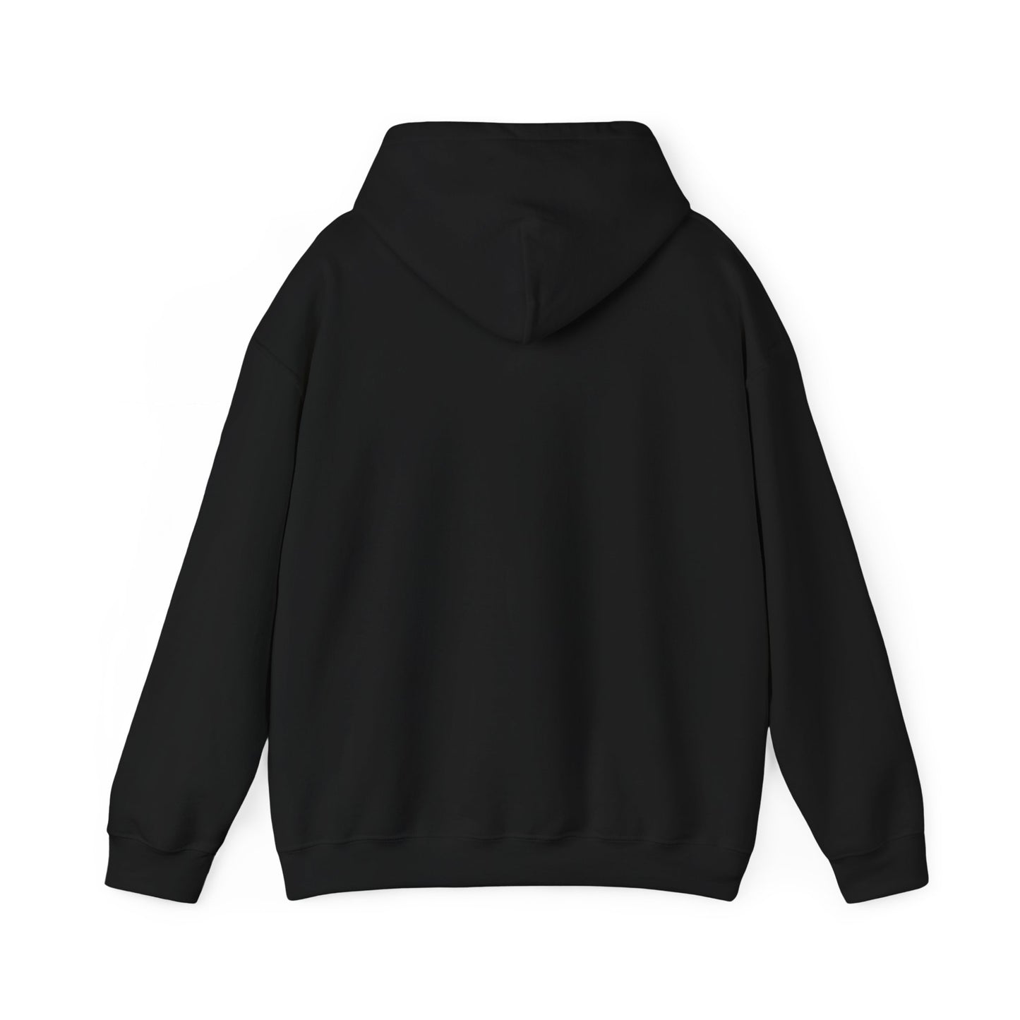SpaceMan Zack Embroidered Hoodie