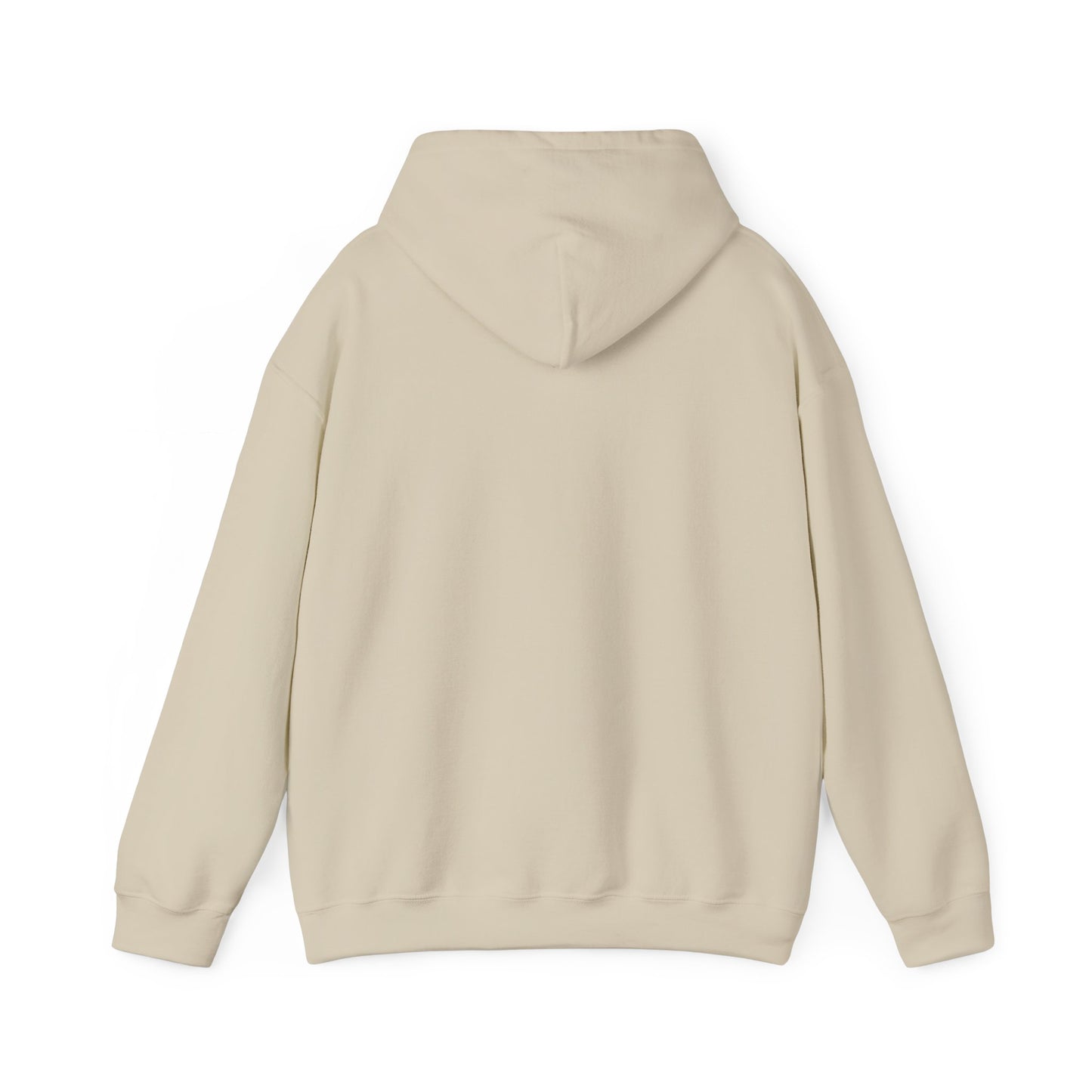 SpaceMan Zack Embroidered Hoodie